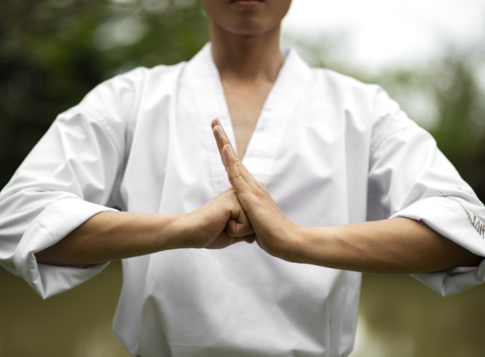 MEDITATION YANG SHE FA